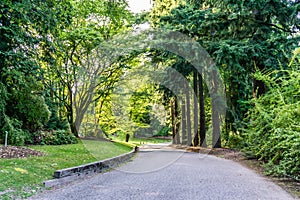 Seattle Arboretum Loop
