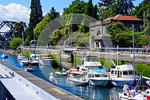 Seattle Ballard Locks Pleasure Boats