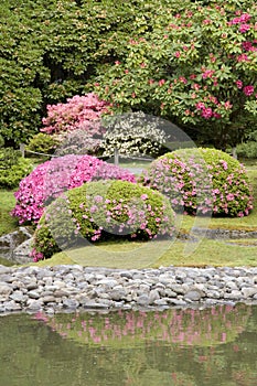 Seattle Japanese garden