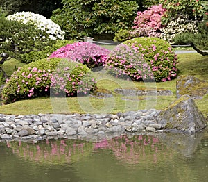 Seattle Japanese garden