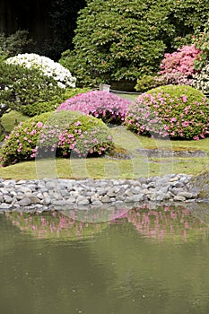 Seattle Japanese garden