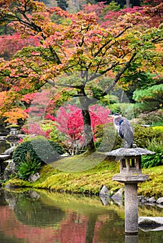 Seattle Japanese Garden