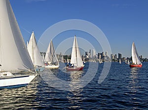 Seattle Sail