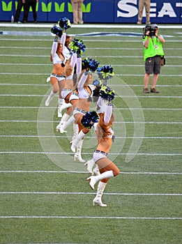 The Seattle Seahawk Cheerleaders