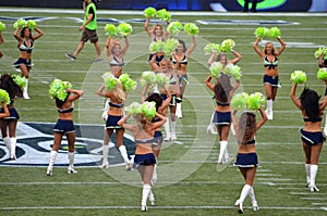 The Seattle Seahawk Seagals