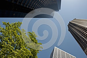 Seattle skyscrapers