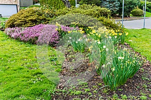 Seattle Spring Garden