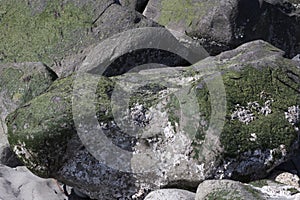 Seattle-View at Discovery Park