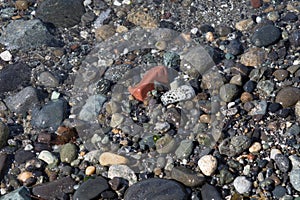 Seattle-View at Discovery Park