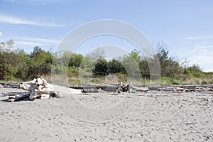 Seattle-View at Discovery Park