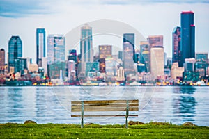 Seattle Vista Bench