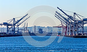 Seattle Washington Port with Red White Cranes and Freighters