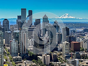 Aerial city view of Seattle Downtown with skyscrapers in front and volcano Mount Rainier in background