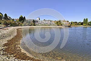 Seawall along False Creek