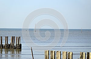 Seawall at the Coastal Erosion Problem Area