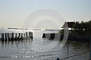 Seawall at the Coastal Erosion Problem Area