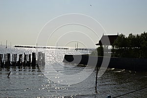 Seawall at the Coastal Erosion Problem Area