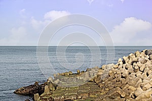 Seawall Made of Concrete Tetrapods