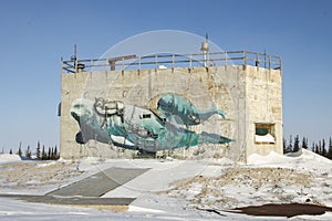 SEAWALLS Churchill Beluga Whale Outdoor Mural