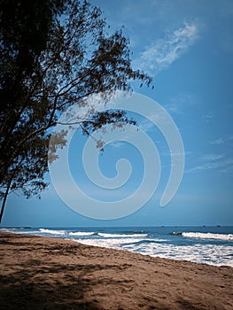 Seawave sea trees seaside bluesea