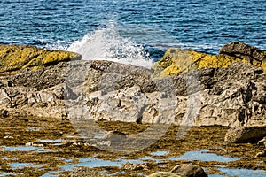 Seaway meets the rocks at Broom Point, Gros Morne National Park, Newfoundland, Canada