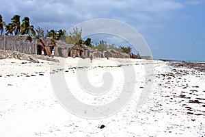 seaweed beach in home sand isle sky and sailing