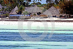 Seaweed beach in zanzibar home and sailing