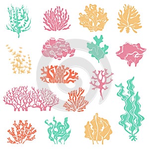 Seaweed and coral silhouettes. Ocean reef corals, underwater marine plants and aquariums kelp. Deep water seaweed