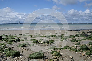 Seaweed covered rocks along beach at Fort Victoria