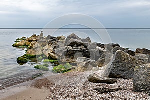 Seaweed covered stones in seawater. Beach on the Baltic Sea in Central Europe.