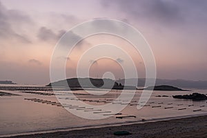 At the seaweed farm before sunrise in the morning, there are seaweed rows and boats