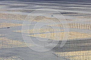 The seaweed field of xiaohao village, adobe rgb