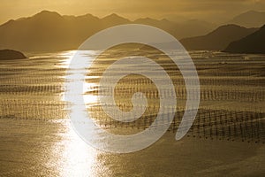 The seaweed field of xiaohao village at dusk, adobe rgb