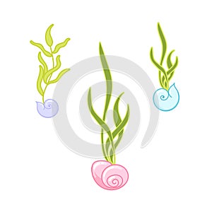 Seaweed green cartoon vector illustration