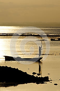 Seaweed harvest at sunset