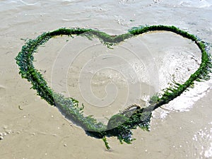 Seaweed heart on the beach photo