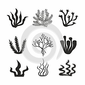 Seaweed icons set - nature, food trends concept. Black icons isolated on white background