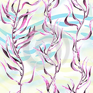 Seaweed kelp seamless pattern. Hand drawn watercolor plants botanical texture
