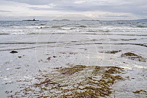 Seaweed lies exposed on wet sand during a low tide on the east side of Vancouver Island, Canada.