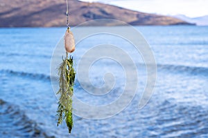 Seaweed on a in-line spinnerbait with unfocused lake and mountains background. photo