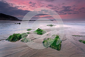Seaweed rock and the dawn