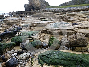 Seaweed rocks