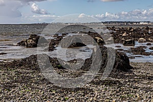 Seaweed, sand and rocks in Ballyloughane Beach