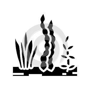 seaweed seafood glyph icon vector illustration