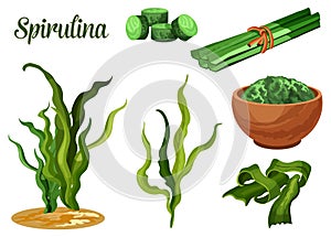 Seaweed spirulina, superfood dietary supplement
