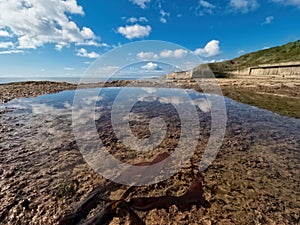 Seaweed and Tide-pools East Beach Lyme Regis May 2021