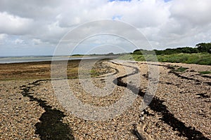 Seaweed tracks along the shingle