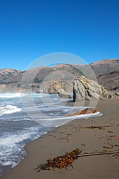 Seaweed washed ashore at the original Ragged Point at Big Sur on the Central Coast of California United States