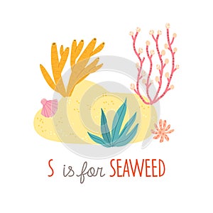 Seaweeds. Aquarium plants, underwater planting. S is for Seaweed. Cartoon vector clipart eps 10 hand drawn illustration