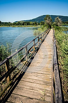 Sebino peat bog, Lombardy, Italy photo